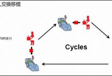 完勝人類選手后,“冷撲大師”想用人工智能提高腎臟移植效率