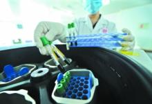 去年廣東梅毒發病5萬例 七成梅毒是隱性也傳染