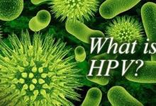 諾貝爾生理學(xué)或醫(yī)學(xué)獎風(fēng)向標(biāo)：HPV疫苗研究進展！