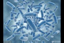 《流感下的北京中年》刷屏 中日醫(yī)院呼吸專家教你更懂流感!