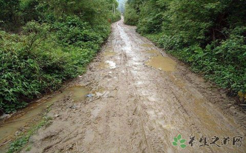 男孩牽手失明母親 失明的原因有哪些 男孩牽手失明母親 失明的原因有哪些