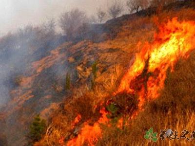 澳大利亞南部熱浪 天氣炎熱要注意什么