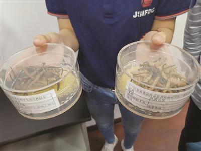 一感冒狂補維C，靠譜嗎？