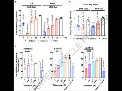《自然》刊發(fā)港大等研究：麻風(fēng)藥物能有效對抗新冠病毒感染