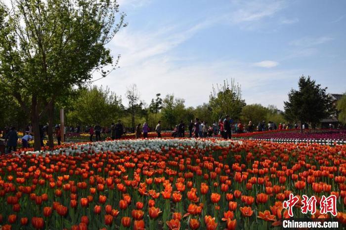 又到一年秋游好時節 專家提醒警惕秋季花粉過敏