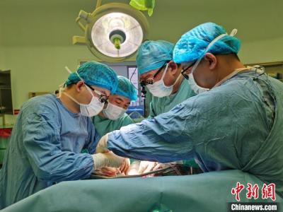 春節假期的“生命速遞” 助器官移植患者重獲新生