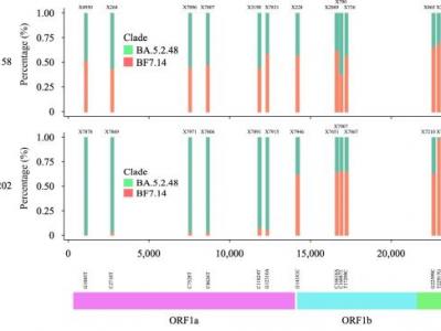 同時(shí)感染奧密克戎兩種毒株！如何看待這個(gè)“首次發(fā)現(xiàn)”？