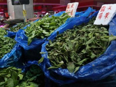 鈣含量在蔬菜中“名列前茅” 它的好處竟然有這么多!