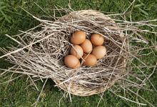 養生警惕：這6種蛋，吃了會傷身喪命