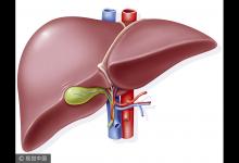 遠離肝病 注意這八個要點