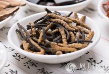 冬蟲夏草這樣吃更營養(yǎng)！