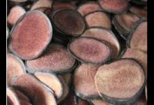 鹿茸可以強身健體 這么吃效果更好