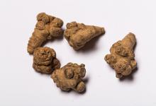 77歲血管病教授:每天早餐吃一勺三七,血管不老!