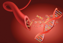 血管好不好，握拳30秒就能測(cè)出來(lái)