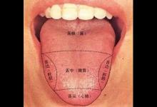 咬咬舌頭,竟然能治這么多的病!太神奇了