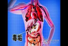 恢復(fù)腸道健康，清理累積毒素，推薦益生菌