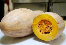 5大養(yǎng)胃食物，胃越吃越健康