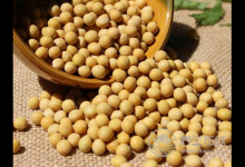 體內水循環不暢？平日要注意飲食