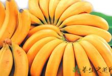 上班族每天適合吃什么水果