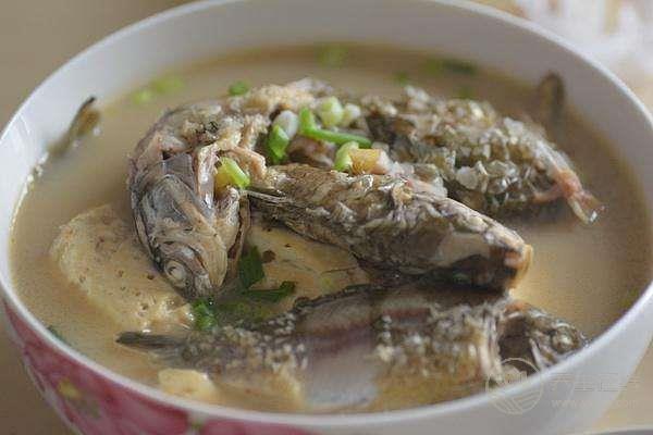 吃魚警惕四大禁忌 空腹吃魚導致“痛風” 吃魚警惕四大禁忌 空腹吃魚導致“痛風”