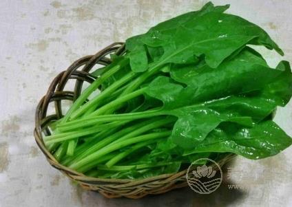 當心!!這7種蔬菜沒煮熟似砒霜 當心!!這7種蔬菜沒煮熟似砒霜