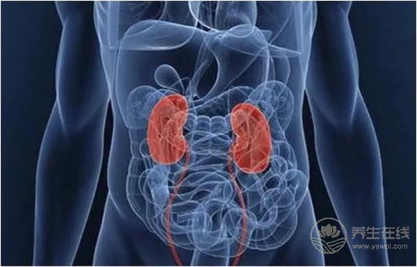 腎不好的朋友,這幾種食物要少吃 腎不好的朋友,這幾種食物要少吃