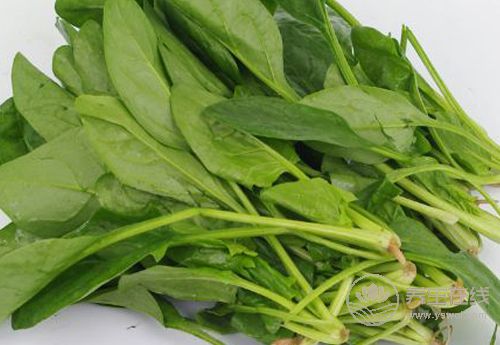 胃部健康的人常有這些習慣！常吃3種果蔬，胃更好