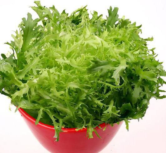 6月必吃的蔬菜是它，養生功效極好，您吃了嗎