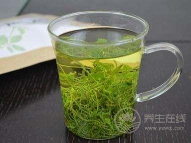 養胃吃什么好 常喝10款養胃茶保胃健康 養胃吃什么好 常喝10款養胃茶保胃健康