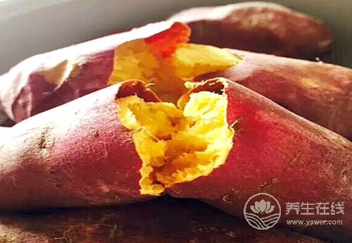 紅薯好吃不貴,對身體還有3大好處 紅薯好吃不貴,對身體還有3大好處