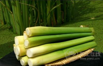 當心!!這7種蔬菜沒煮熟似砒霜 當心!!這7種蔬菜沒煮熟似砒霜