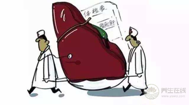 脂肪肝成為第二大肝病,這幾種食物是脂肪肝的“天敵”,多吃保護肝臟 脂肪肝成為第二大肝病,這幾種食物是脂肪肝的“天敵”,多吃保護肝臟