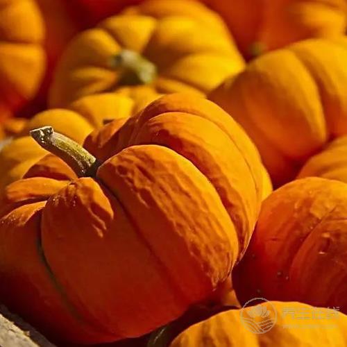 五谷雜糧談養生，長壽抗癌好幫手