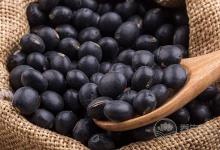 如何選購優質黑豆?黑豆有助防止大腦老化