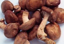 肝臟不好，常吃這4種養肝護肝的蔬菜