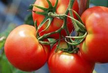 吃蔬菜雖好，但這些食用禁忌你知道幾個(gè)？