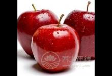 七種有效的懶人減肥法 輕輕松松減掉脂肪