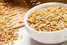 都說(shuō)燕麥?zhǔn)菭I(yíng)養(yǎng)之王，但你知道該如何選？如何吃嗎？