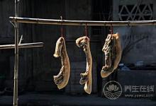 腎不好的朋友，這幾種食物要少吃