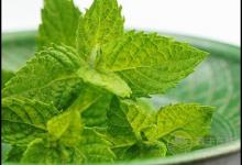 喉嚨不舒服吃什么好？