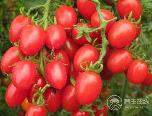 水果有益于治療胃酸 水果有益于治療胃酸