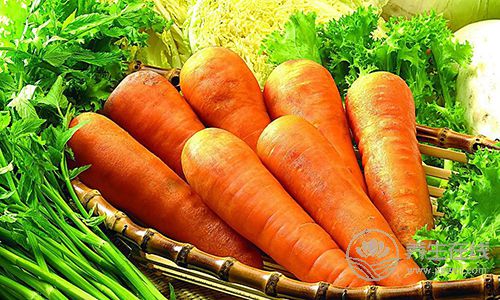 蘿卜是個好東西,但是不同的蘿卜有不同的功效,別吃錯了 蘿卜是個好東西,但是不同的蘿卜有不同的功效,別吃錯了