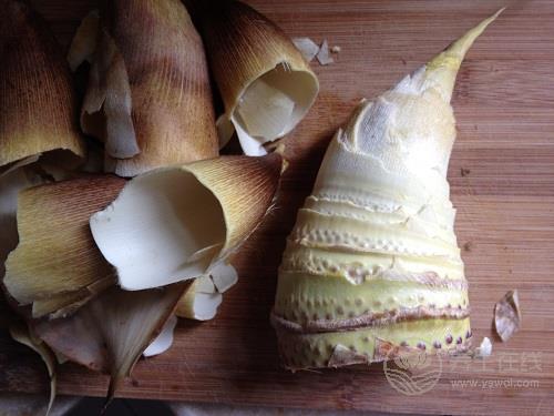 吃冬筍的作用超強大,這些好處都想不到 吃冬筍的作用超強大,這些好處都想不到