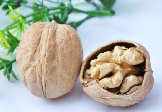 3種堅果好吃又營養(yǎng)，常食對身體有益處