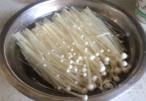 常吃金針菇,好處有這些,你懂嗎? 常吃金針菇,好處有這些,你懂嗎?