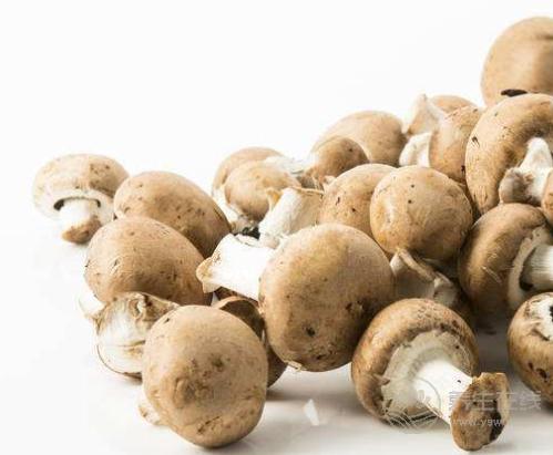 常吃3種食物能遠(yuǎn)離乳腺癌，每個(gè)女人都該了解