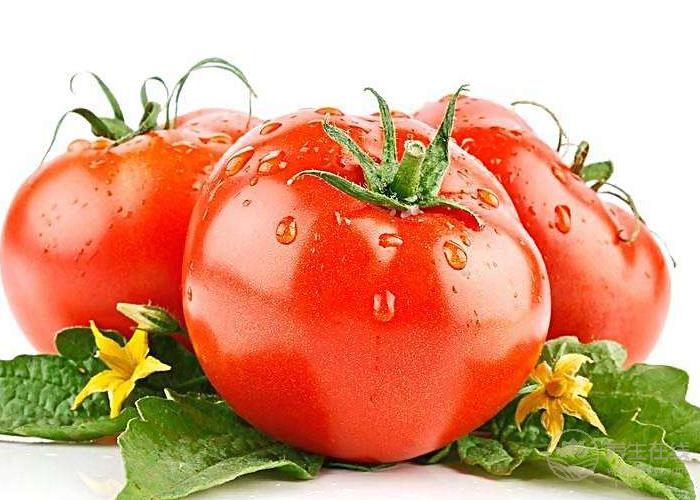 早餐怎么吃既營養(yǎng)又減肥？