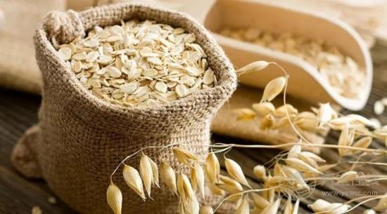 想靠燕麥控糖、降脂、減肥?這2個挑選秘訣不可不知! 想靠燕麥控糖、降脂、減肥?這2個挑選秘訣不可不知!