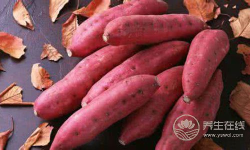 抗癌第一菜是它！人人都見過，但要這么吃才有效