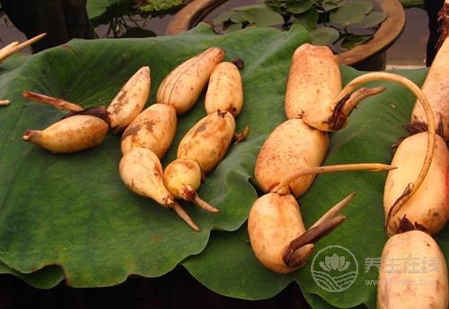 吃蓮藕的好處有這些,給你總結(jié)好了,你喜歡吃嗎? 吃蓮藕的好處有這些,給你總結(jié)好了,你喜歡吃嗎?